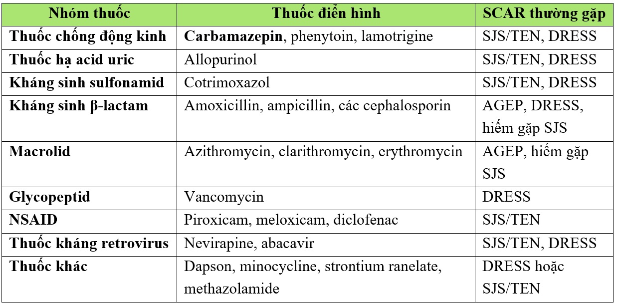 Phản ứng da liên quan đến thuốc: đánh giá một tình huống nhập viện nghi ngờ hội chứng Steven-Johnson ở bệnh nhân đang điều trị bằng carbamazepin